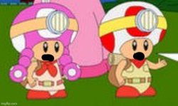 Capatain Toad Treasure Tracker Phase 2 (Transparement) Meme Template