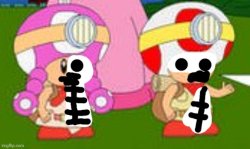 Capatain Toad Treasure Tracker Phase 3 (Transparement) Meme Template