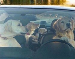 Chrisjoines1 Meme Template