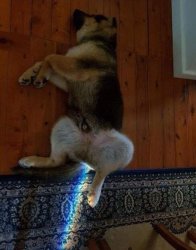 Chrisjoines1 Meme Template