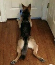 Chrisjoines1 Meme Template