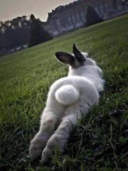 Bunn butt Meme Template