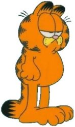 Garfield cat Meme Template