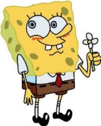 Spongebob holding flower Meme Template