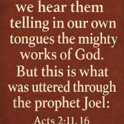 The 1st example of INSPIRED LALEO speech in the early church, Ac Meme Template