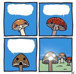 Mushrooms Fabric of Reality Meme Template