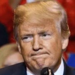 Sad Trump Meme Template