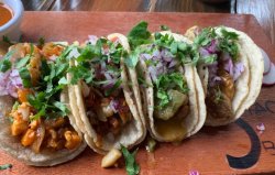 Taco Tuesday Meme Template