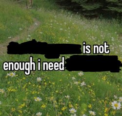 blank is not enough I need blank Meme Template