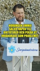 Jimmie Åkesson - Wallenberg Bofors SAAB Meme Template