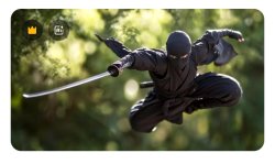 Ninja wilderness Meme Template