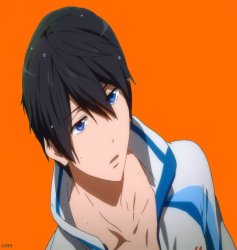 Haru Meme Template