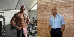 Muscular and slim rock Meme Template
