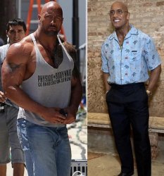 The Rock vs The Gravel Meme Template