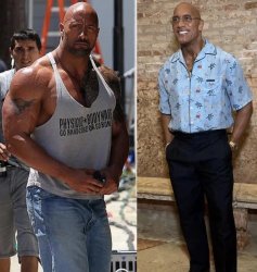The Rock vs The Gravel Meme Template
