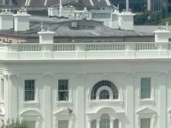 White House Bin Bags Meme Template