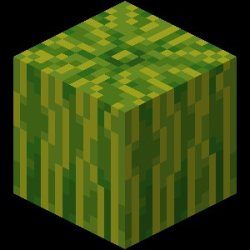 Minecraft Melon Meme Template