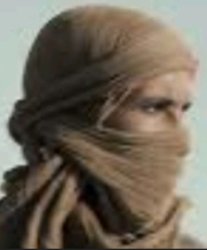 You boys like Arakis? Meme Template