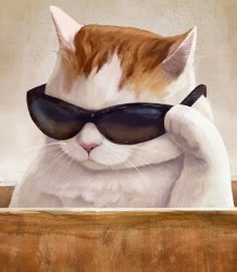 gato lentes Meme Template