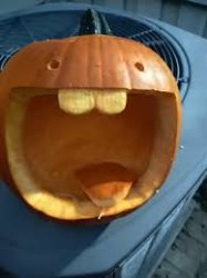 pumpkin goofy ahh Meme Template