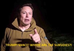 Elon Musk Meme Template
