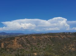 Cloud dog Meme Template