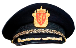Norsk politi hatt Meme Template