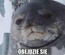 seal Meme Template