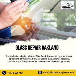 Glass Repair Oakland Meme Template