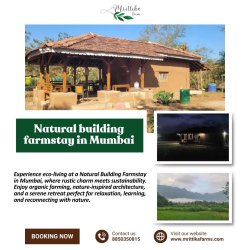 Natural building farmstay in Mumbai Meme Template