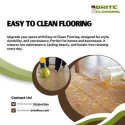 Easy to Clean Flooring Meme Template