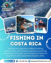 Fishing In Costa Rica Meme Template