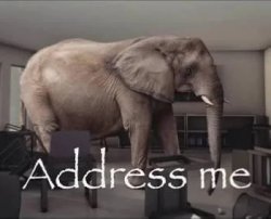 the elephant in the room Meme Template