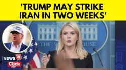 news reporter Meme Template