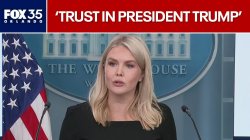 news reporter Meme Template