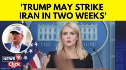 news reporter Meme Template