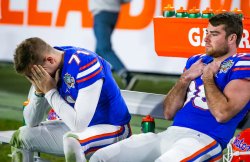 Florida Gators meme Meme Template