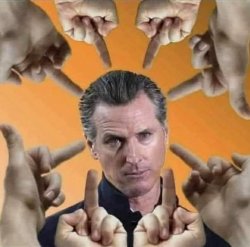 Gavin Newsom gets middle finger Meme Template