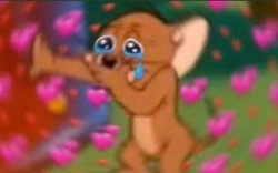 all the feels Meme Template
