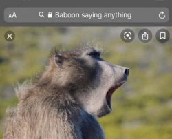 Baboon saying anything Meme Template