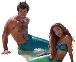 mercouple Meme Template