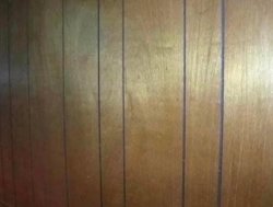 Wood Paneling Meme Template