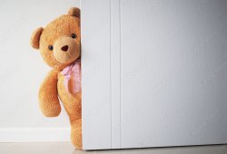 bear behind door Meme Template