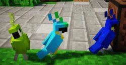 Mc parrot Meme Template