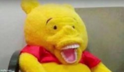 Pooh Merluzo Meme Template