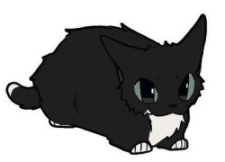 Maxwell the Cat Meme Template