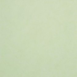 pale green photo with no words Meme Template