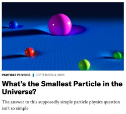 Smallest Particle in the Universe... the republicans brain Meme Template