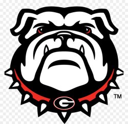 Sec now 2025 Meme Template