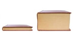 Small Book Big Book Meme Template
